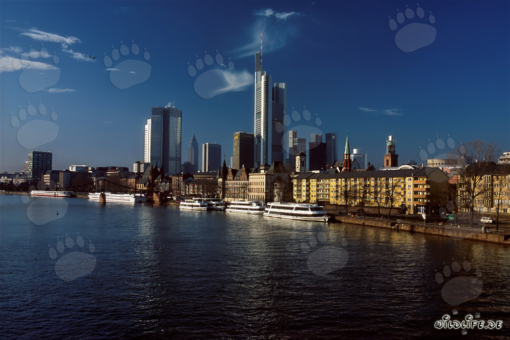 Impresionante skyline de Fráncfort del Meno con rascacielos