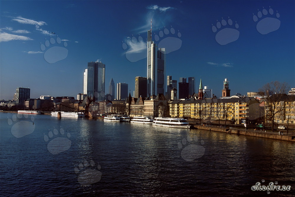 Imposante Skyline von Frankfurt am Main mit Wolkenkratzern