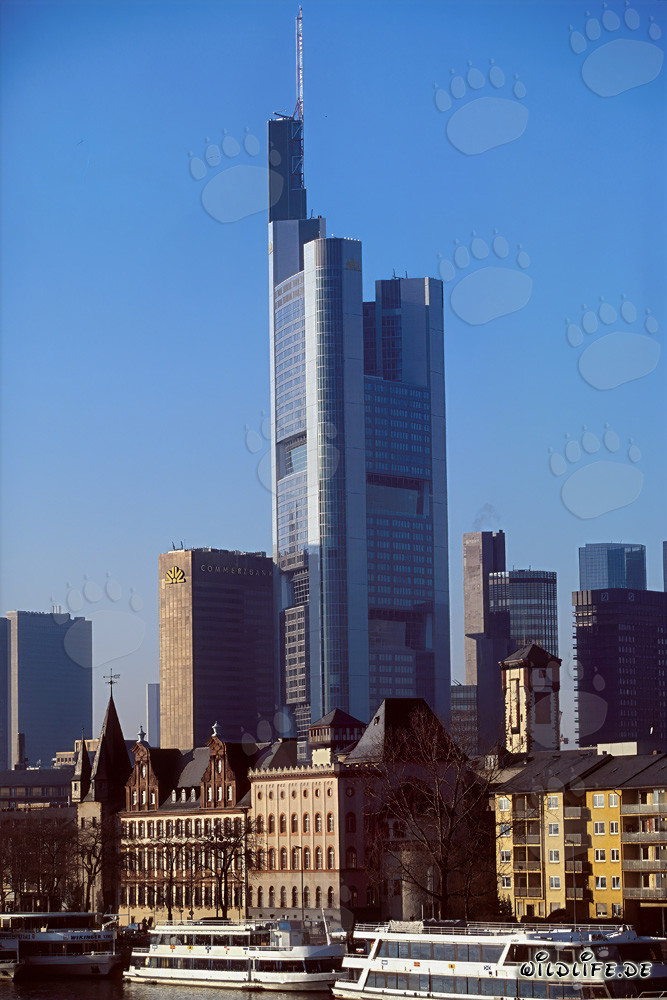 Das imposante Commerzbank-Hochhaus in Frankfurt