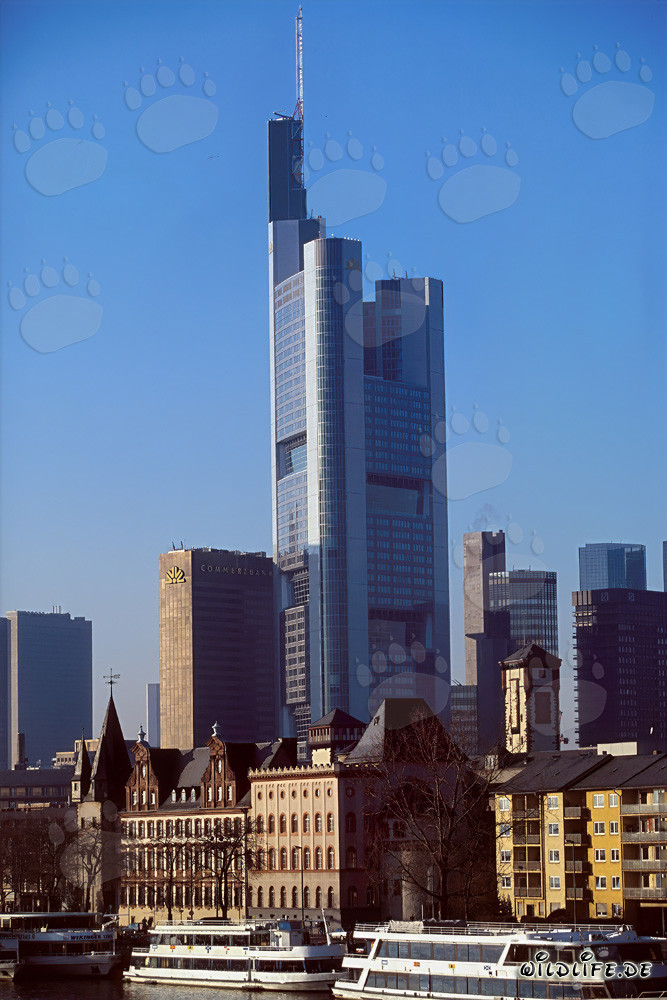 L'imponente grattacielo della Commerzbank a Francoforte