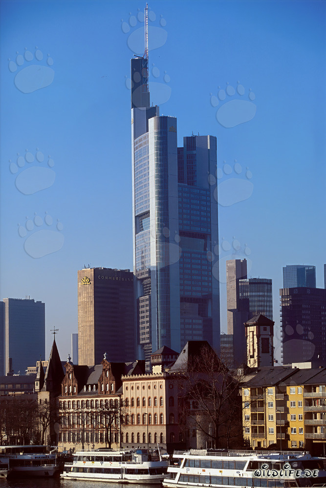 The imposing Commerzbank Tower in Frankfurt