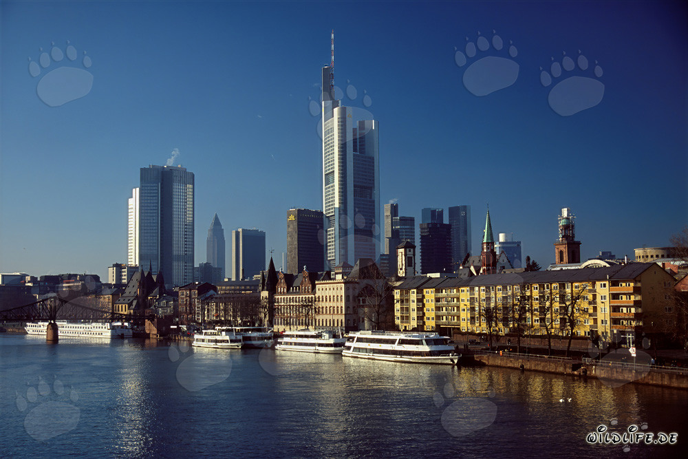Impressionnante skyline de Francfort