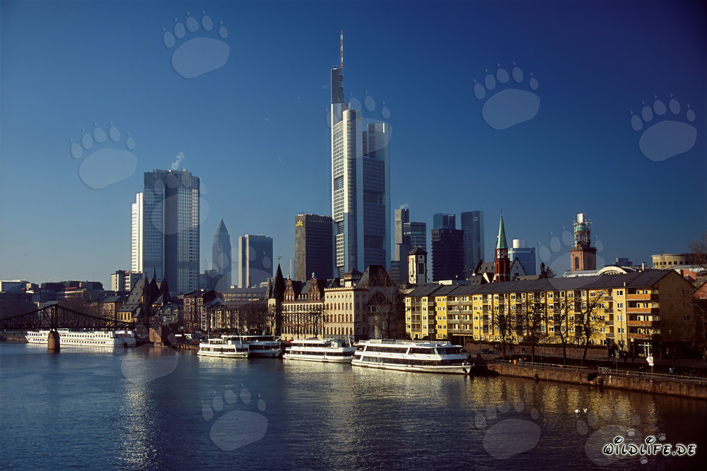 Impresionante skyline de Fráncfort
