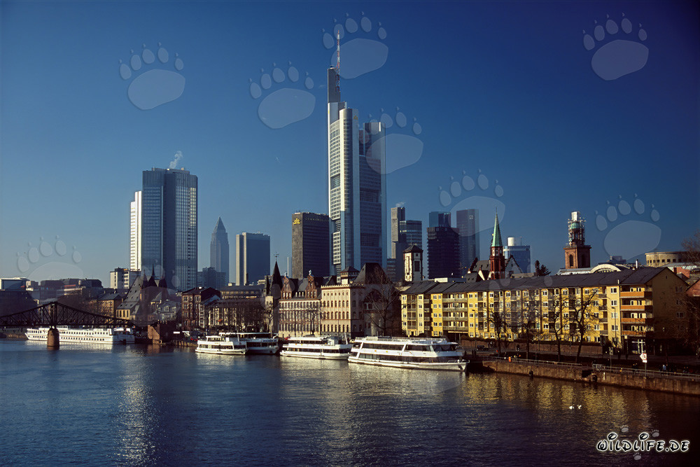 Impressive Skyline of Frankfurt