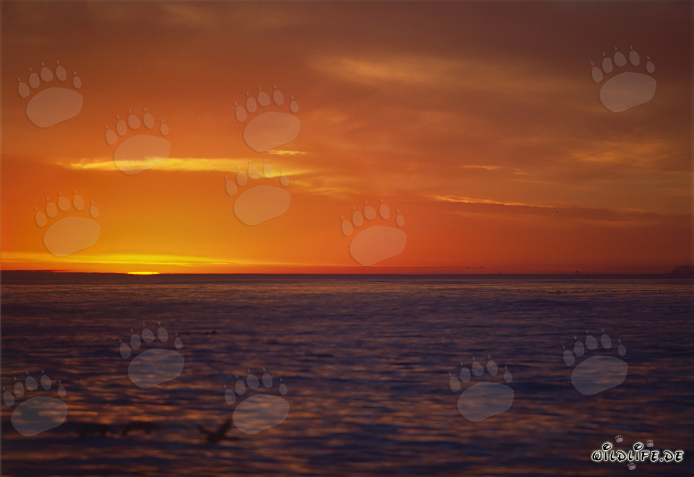 Romantic Sunset over the Ocean