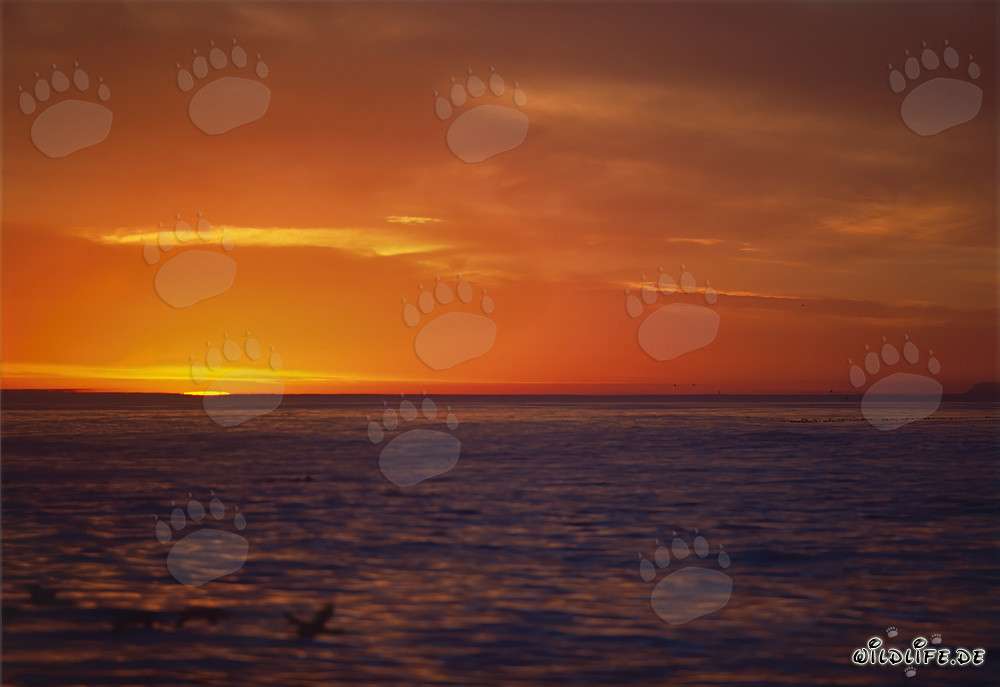 Romántica puesta de sol sobre el océano