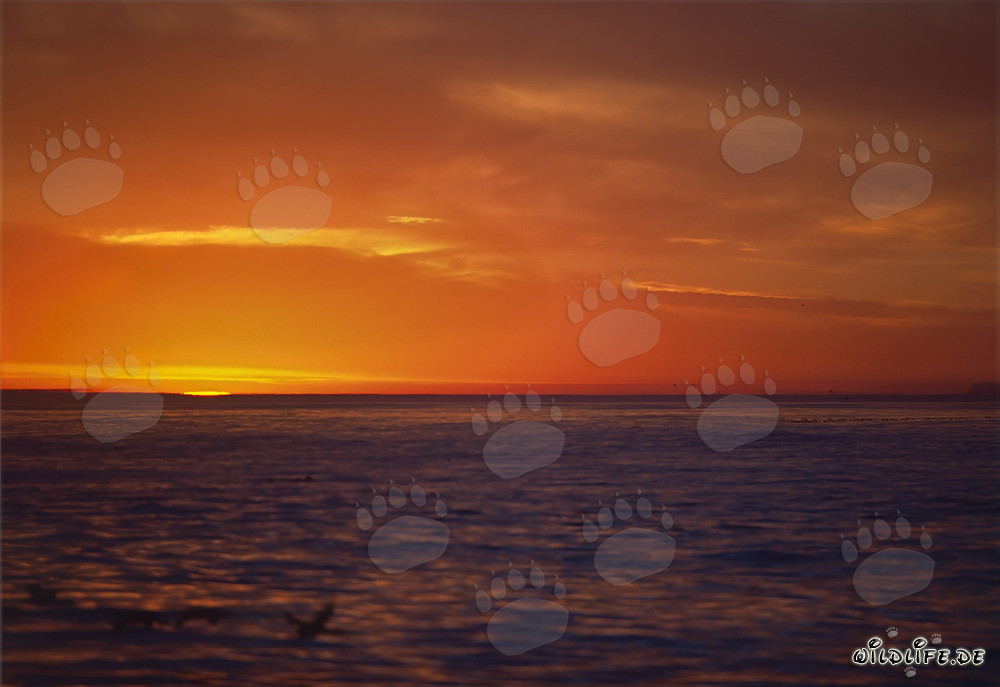 Romantico tramonto sull'oceano