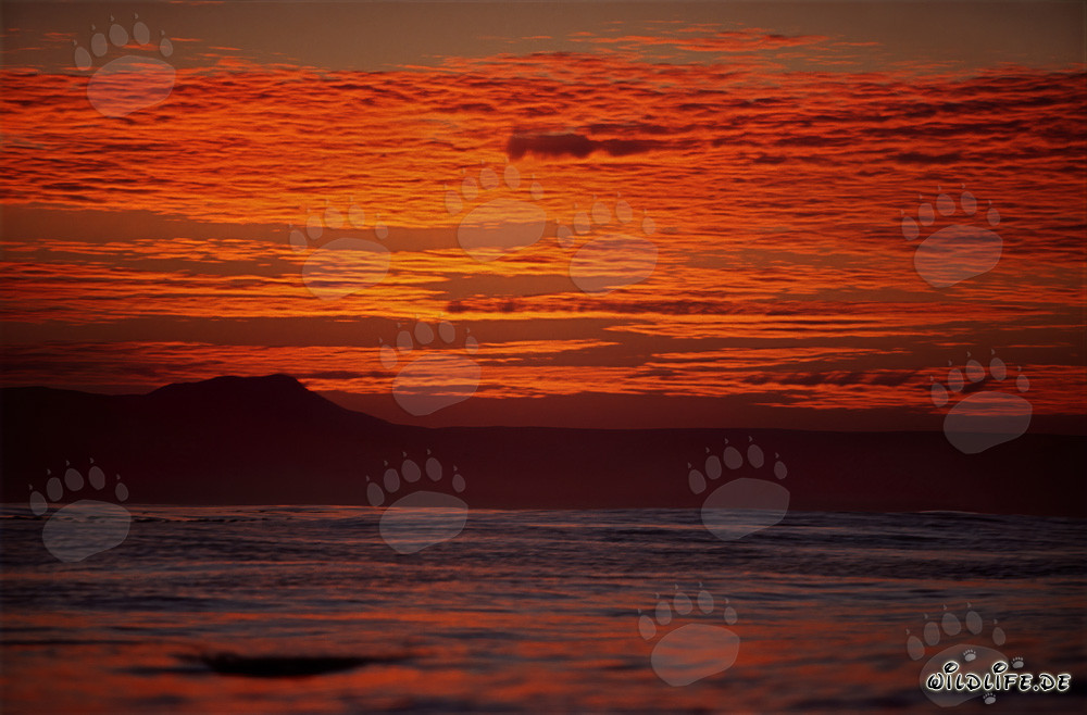 Espectáculo romántico de colores en el cielo al atardecer sobre el océano