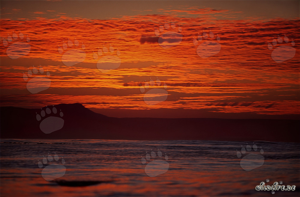 Romantic colors in the evening sky over the ocean