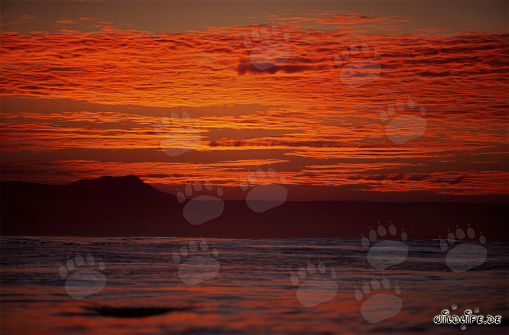 Spettacolo romantico di colori al tramonto sull'oceano