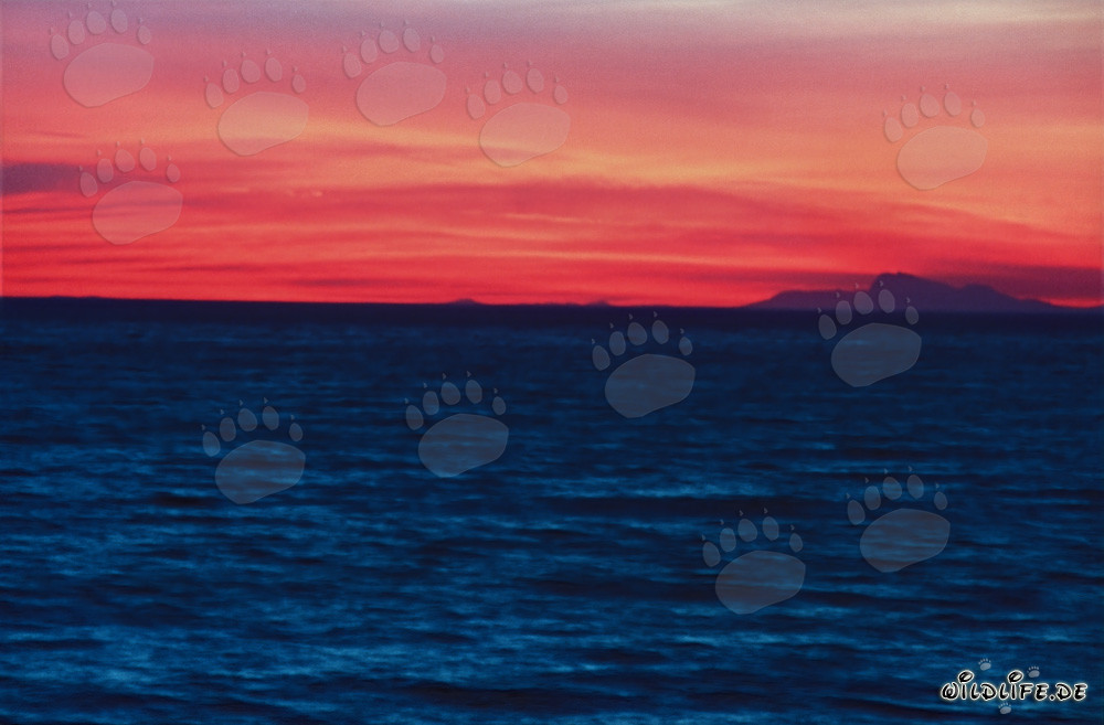 Romántica puesta de sol sobre la Bahía de Walker, Sudáfrica