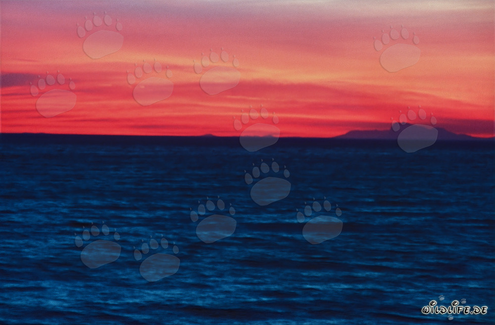 Romantischer Sonnenuntergang über der Walker Bay, Südafrika