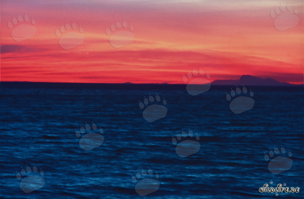 Romantico tramonto sulla Baia di Walker, Sudafrica