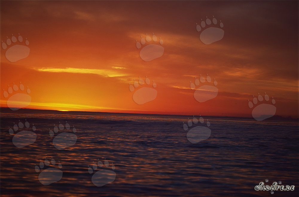 Coucher de soleil romantique sur la mer en Afrique du Sud