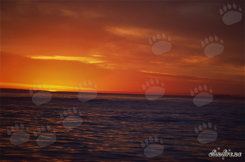 Romantic Sunset over the Sea in South Africa