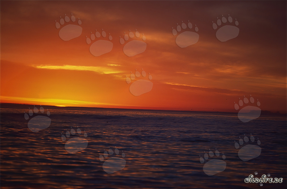 Romántica puesta de sol sobre el mar en Sudáfrica