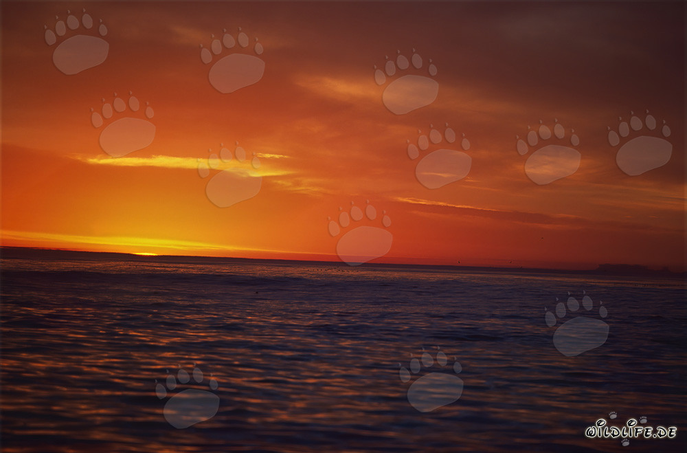 Romantico tramonto sul mare in Sudafrica