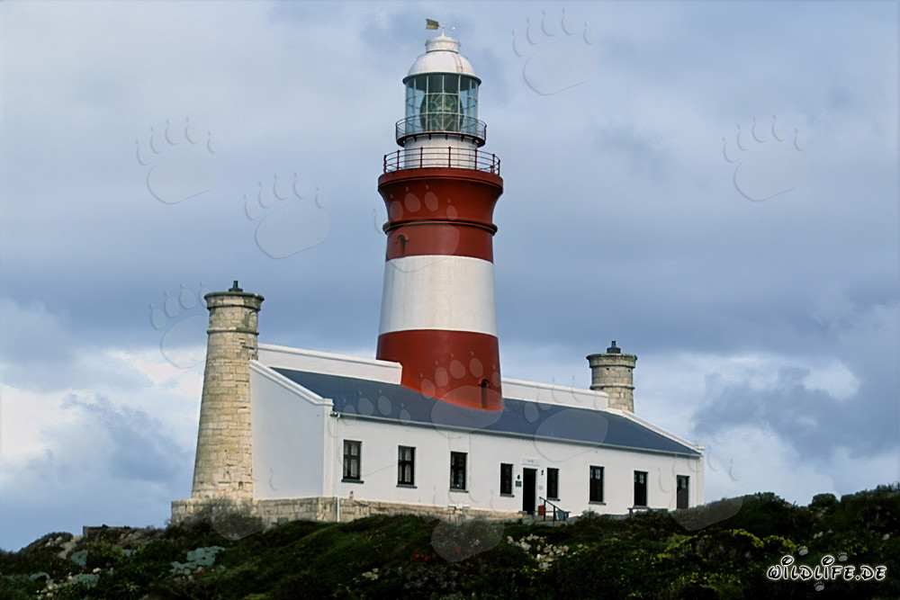 Faro de cabo Agulhas en el punto más meridional del continente africano