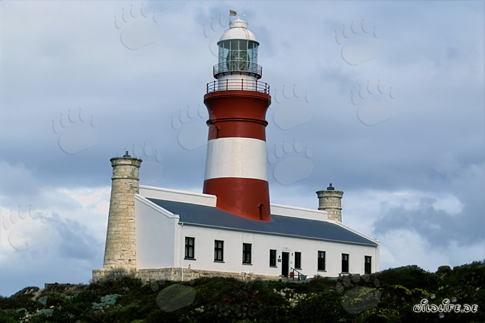 Faro di Capo Agulhas al punto più meridionale del continente africano