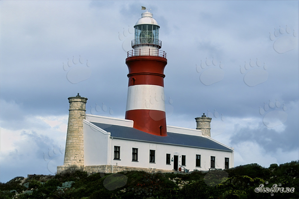 Leuchtturm