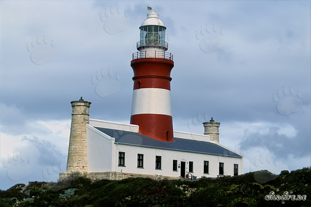 Phare du Cap des Aiguilles, au point le plus méridional du continent africain