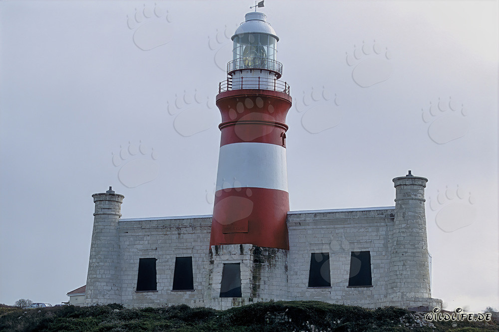 Faro de cabo Agulhas - Monumento en el extremo más al sur de África