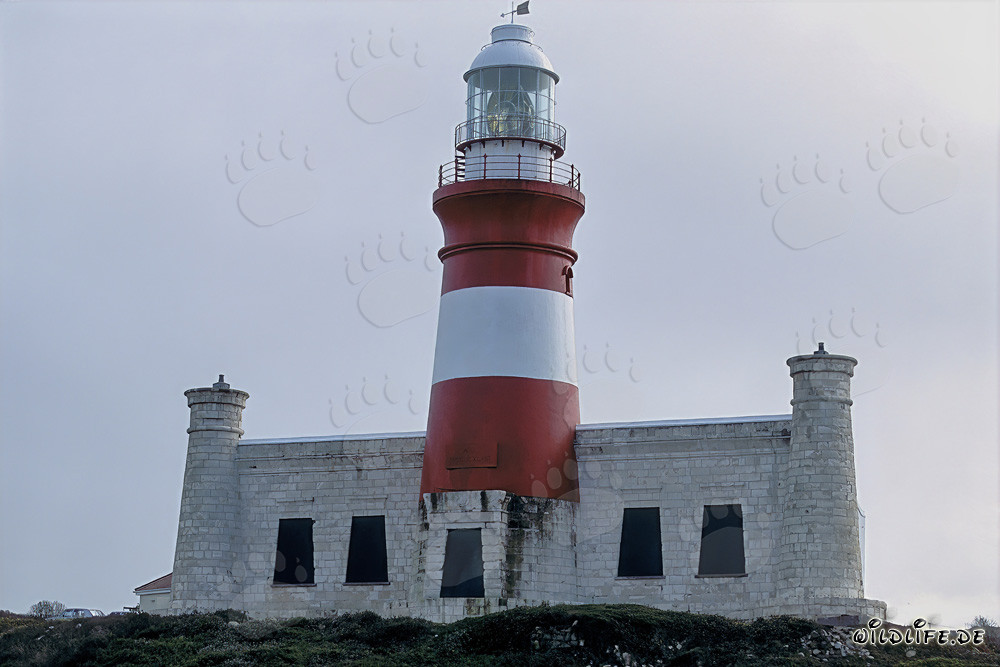 Faro di capo Agulhas - Monumento all'estremità più meridionale dell'Africa