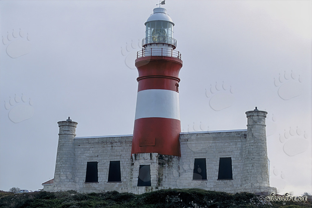 Leuchtturm