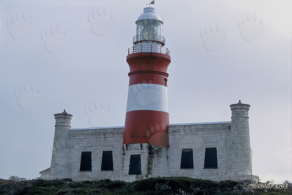 Lighthouse Cape Agulhas - Landmark at the Southernmost Tip of Africa