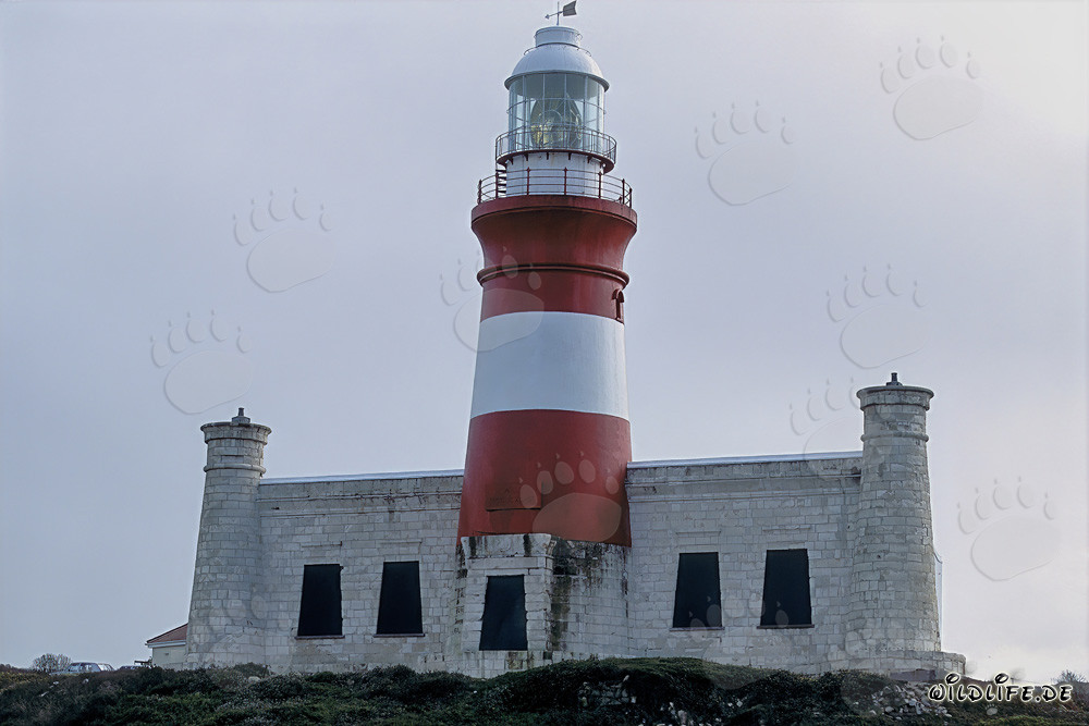 Phare du cap Agulhas - Symbole à l'extrémité sud de l'Afrique