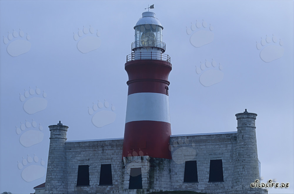 Phare du Cap Agulhas - Balise pour la navigation maritime