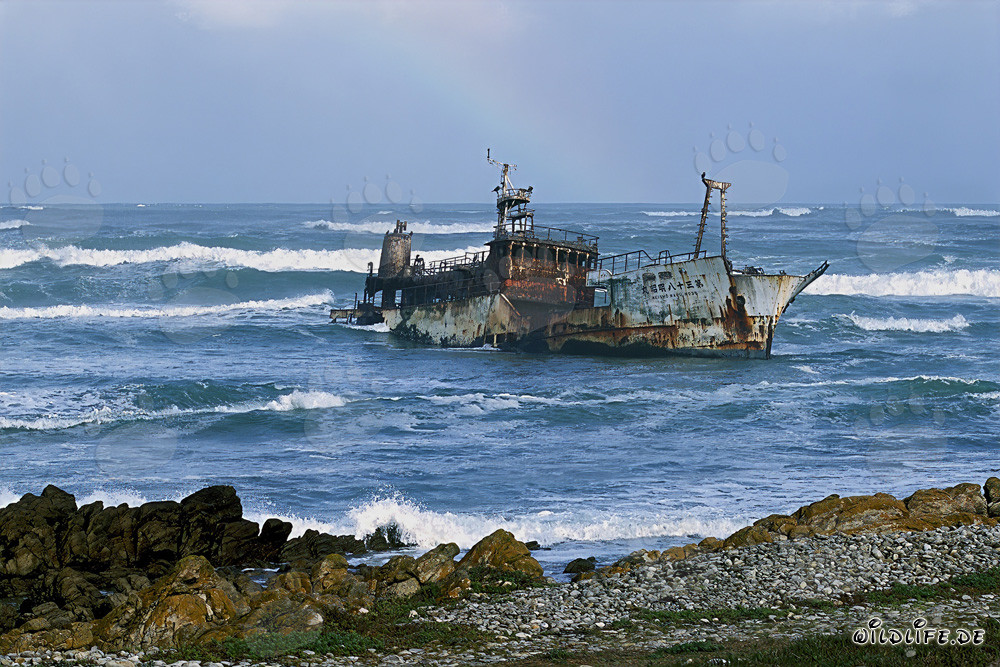 Meisho Maru 38 - Wreck at Cape of the Needles
