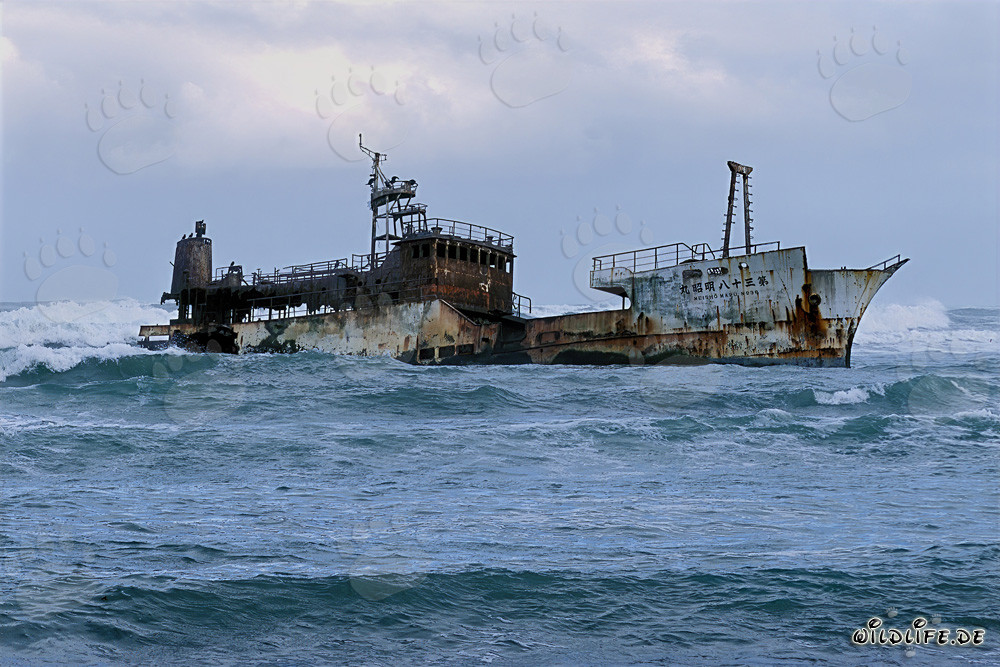 Naufrage du Meisho Maru 38 au Cap Agulhas