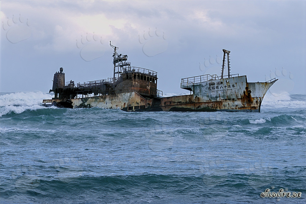 Naufragio del Meisho Maru 38 en el Cabo de Agulhas