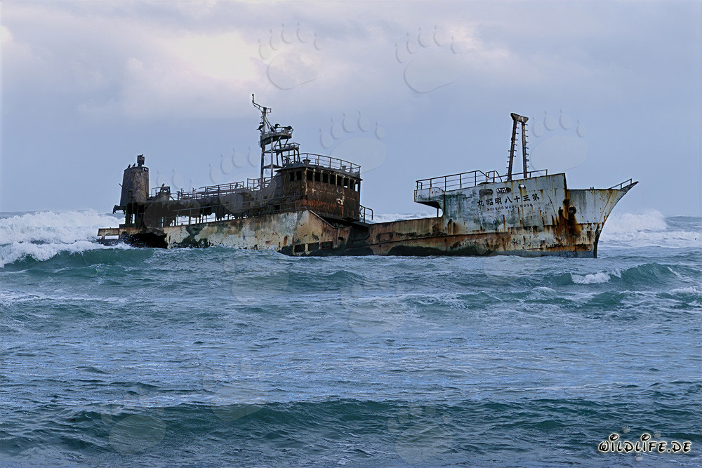 Naufragio del Meisho Maru 38 al Capo Agulhas