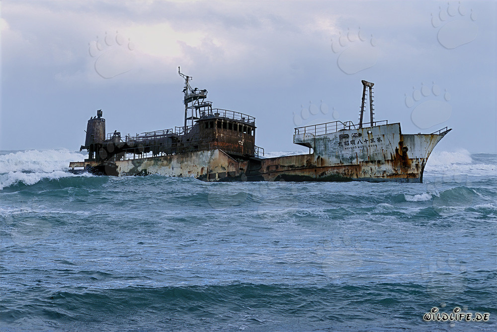 Meisho Maru 38 - Schiffbruch am Cape Agulhas