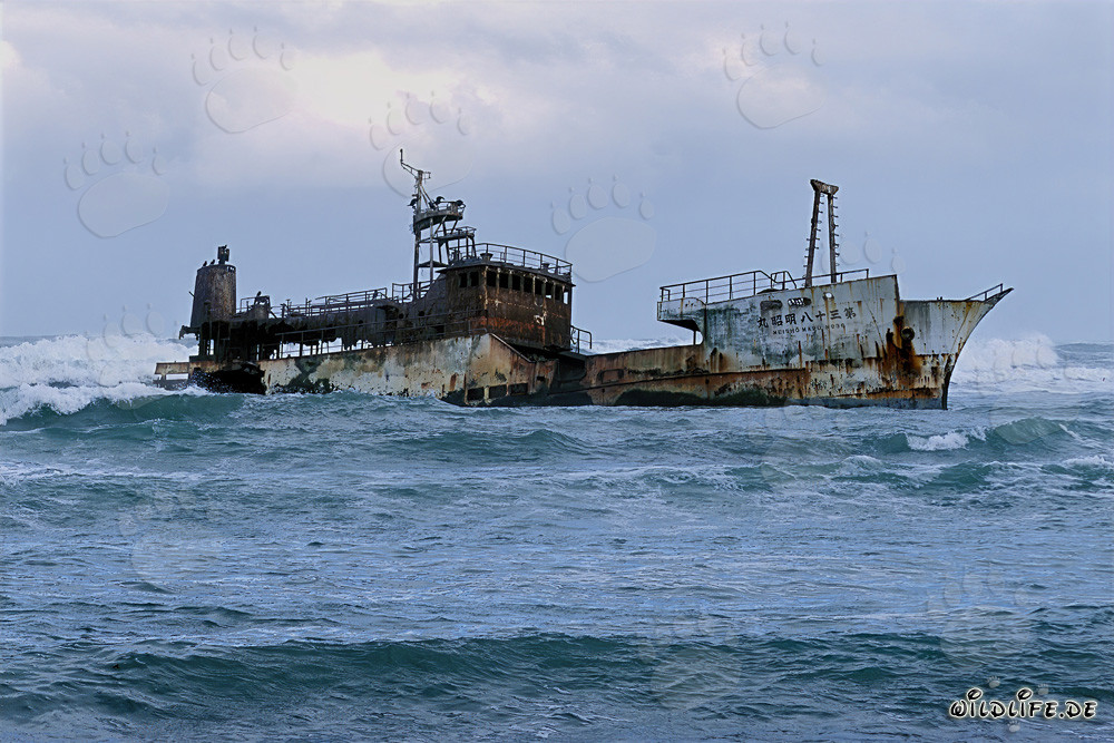 Meisho Maru 38 - Shipwreck at Cape Agulhas