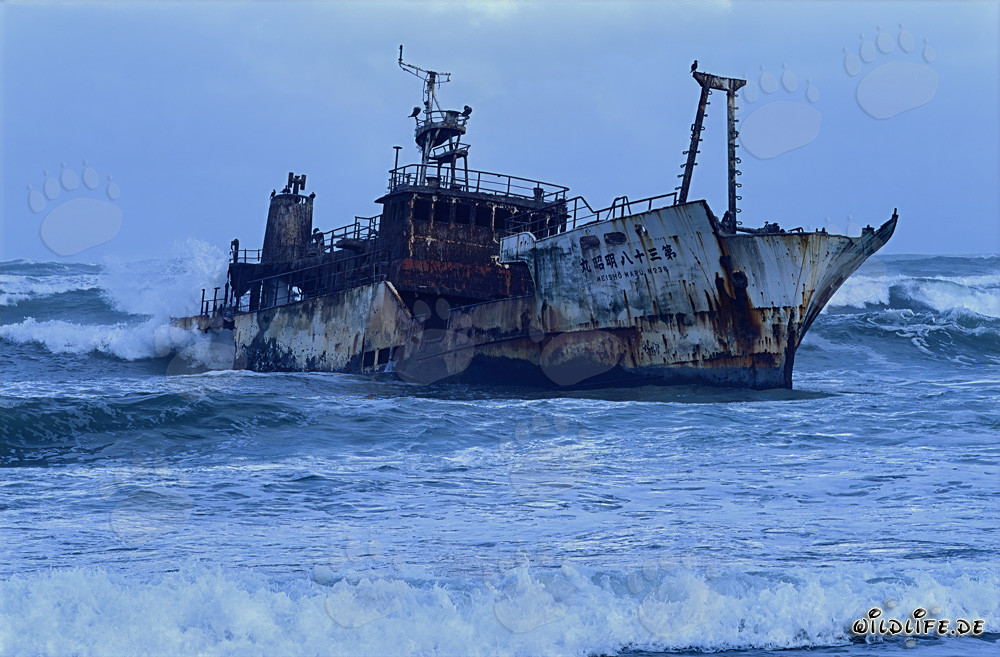 Épave du chalutier Meisho Maru 38 échoué au Cap Agulhas