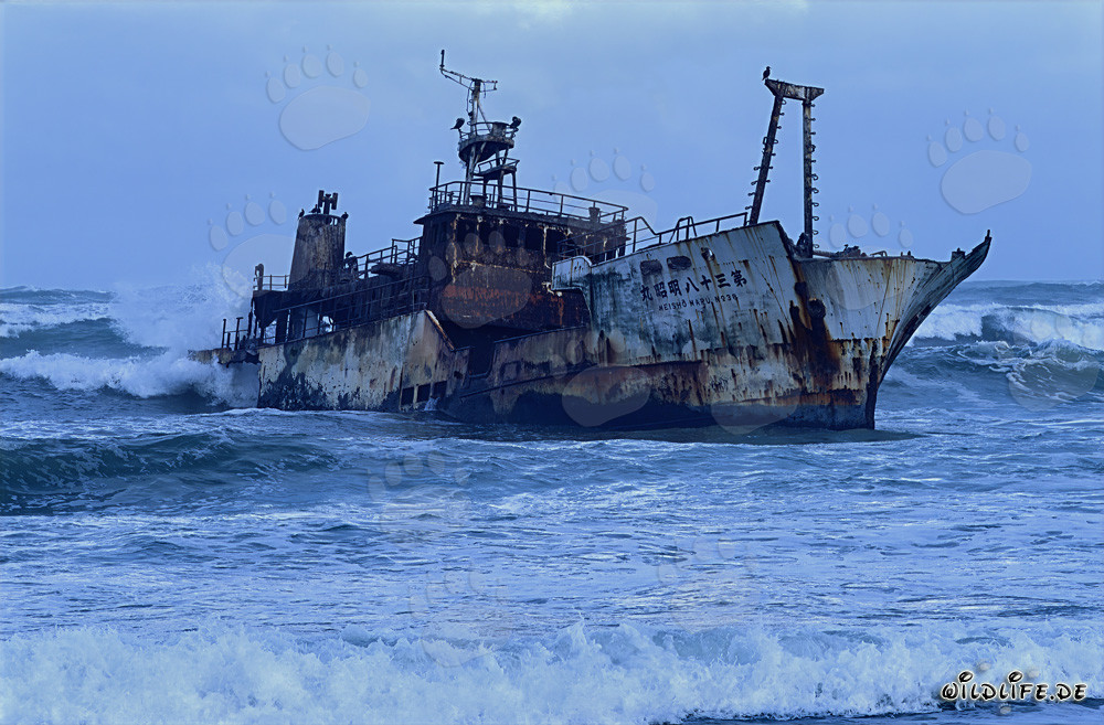 Wrack des Fischtrawlers Meisho Maru 38 am Cape Agulhas gestrandet