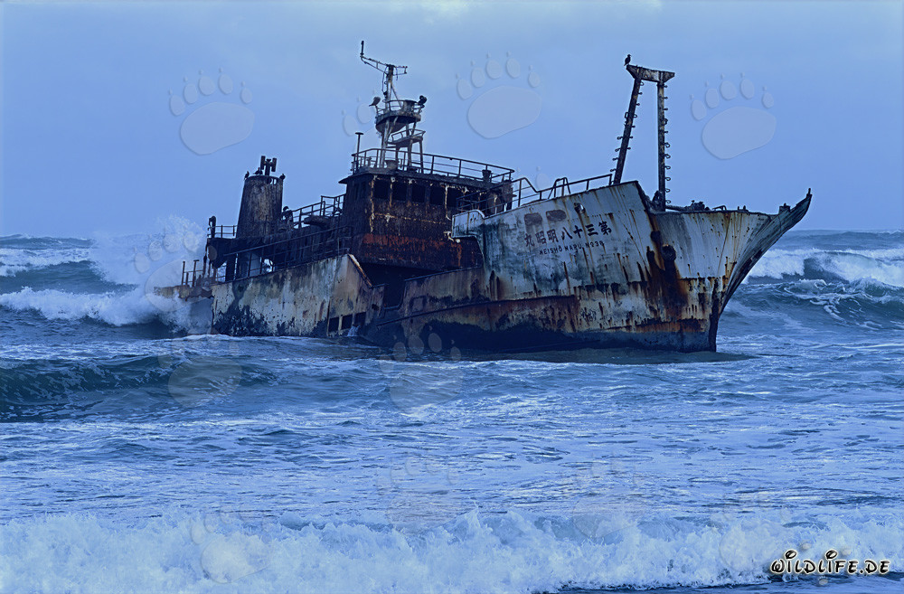 Wreck of the Japanese fishing trawler Meisho Maru 38 stranded at Cape Agulhas