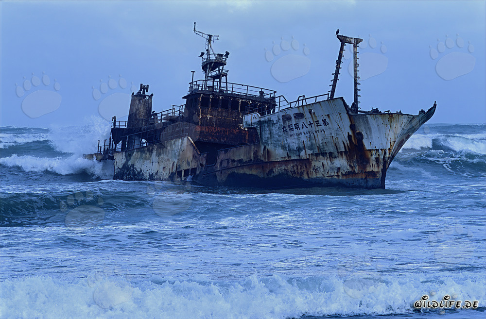 Relitto del peschereccio Meisho Maru 38 arenato a Cape Agulhas