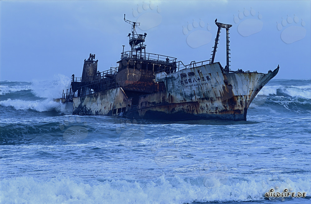 Naufragio del pesquero Meisho Maru 38 encallado en Cabo Agulhas