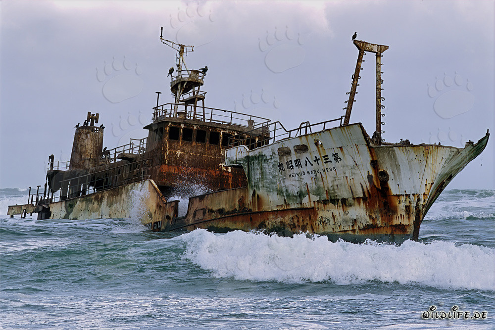 Meisho Maru 38 - Épave au Cap Agulhas
