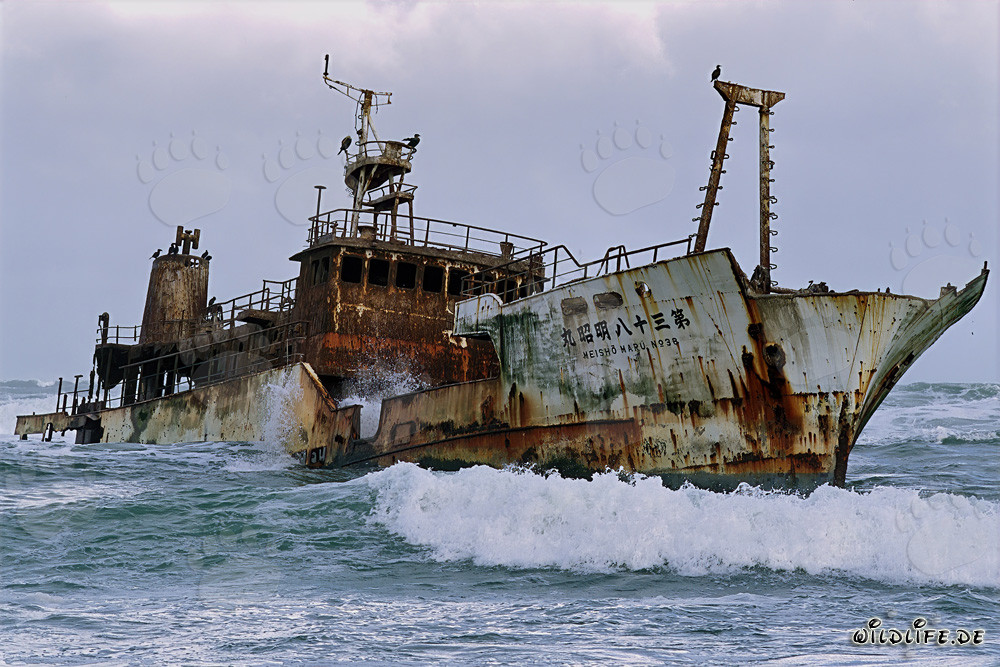 Meisho Maru 38 - Naufragio en el Cabo Agulhas