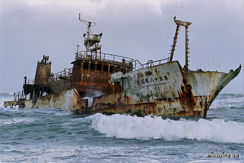 Meisho Maru 38 - Relitto al Capo Agulhas
