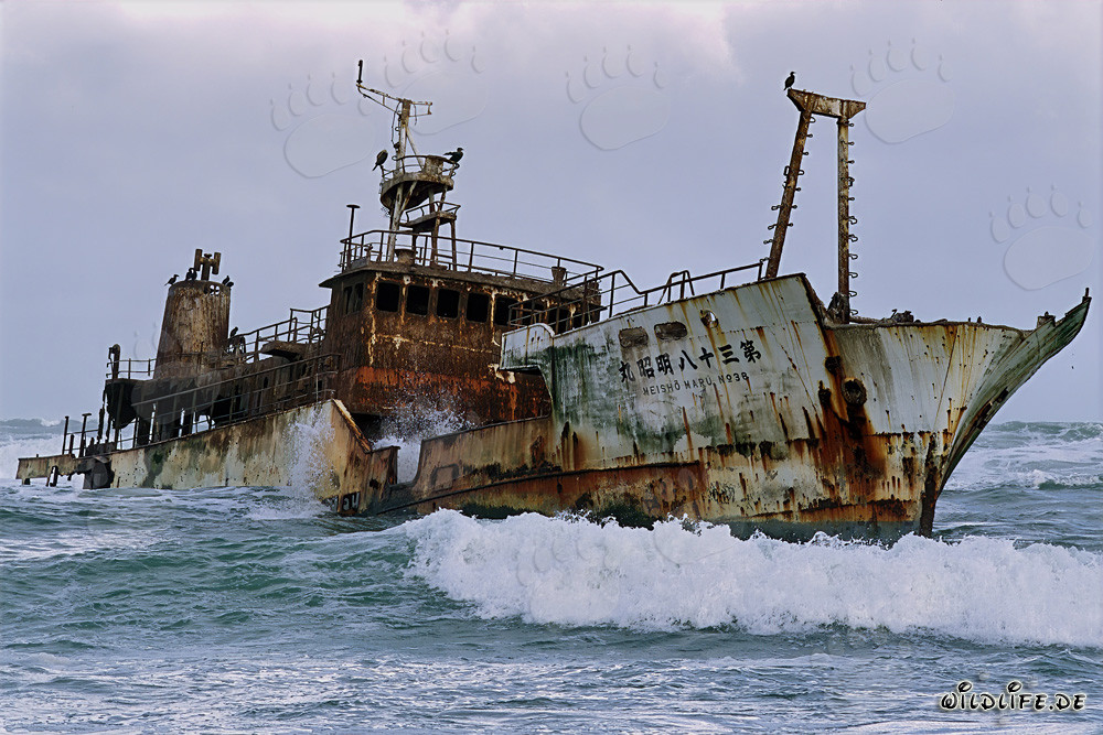Meisho Maru 38 - Schiffswrack am Kap Agulhas