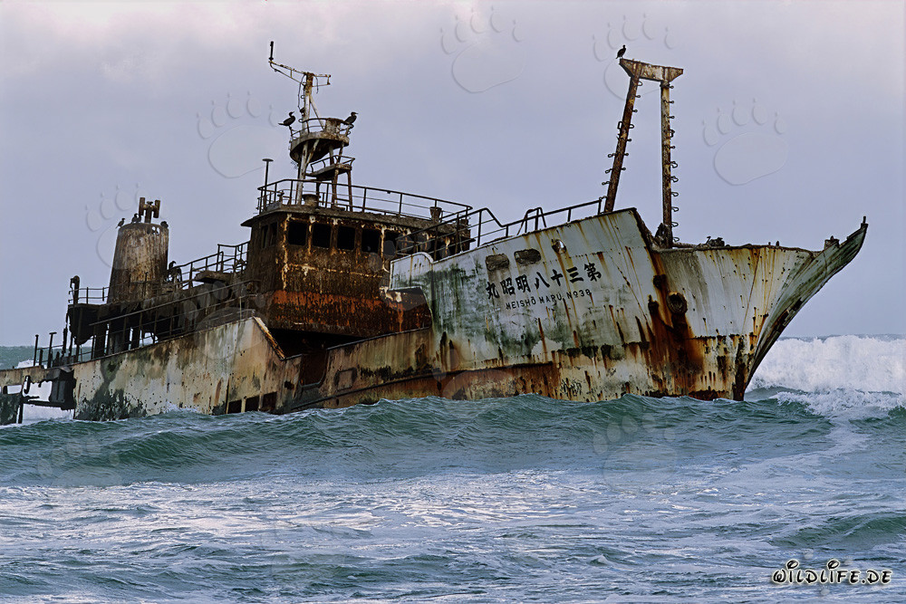 Nave naufragata Meisho Maru 38 al selvaggio Capo Agulhas in Sudafrica
