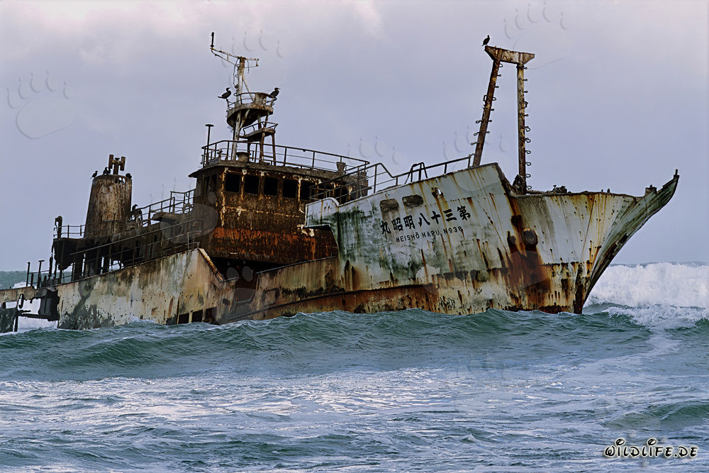 Meisho Maru 38 - Gestrandetes Schiff am wilden Cape Agulhas in Südafrika