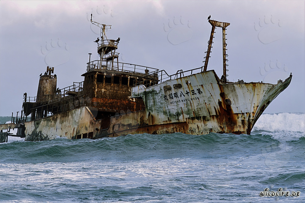Meisho Maru 38 - Stranded Ship at the Wild Cape Agulhas in South Africa