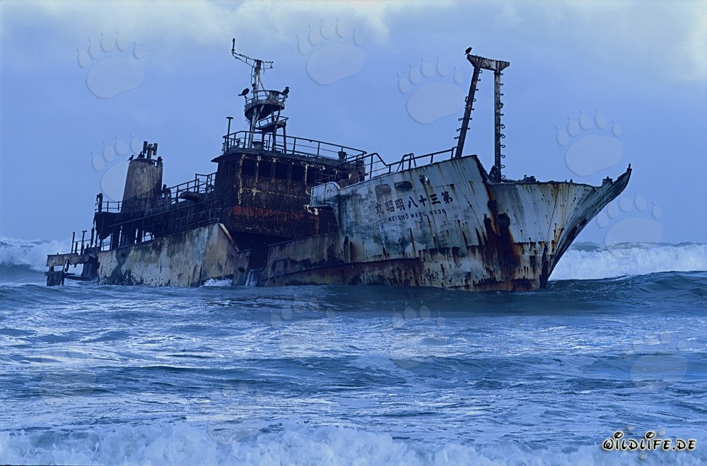Naufragio del Meisho Maru 38 en el Cabo Agulhas en 1982